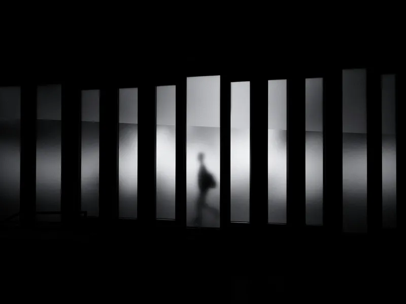 Figure seen through panels